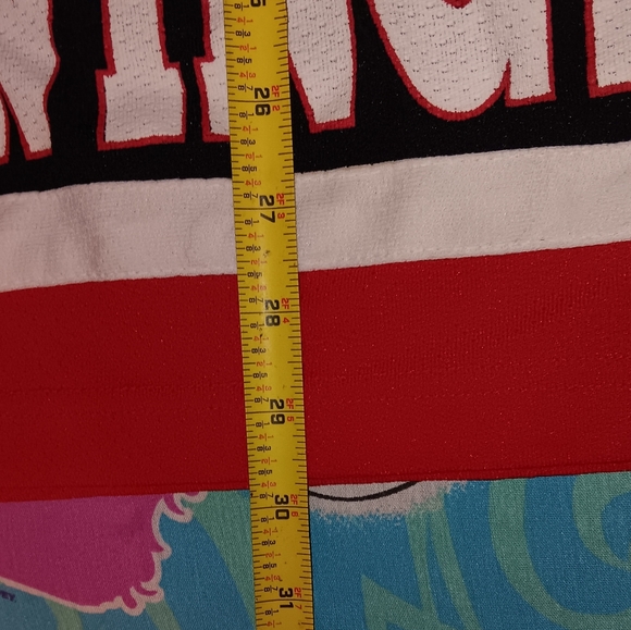 90s Detroit Red Wings Vintage Vintage Hockey Jersey NHL - Picture 5 of 6